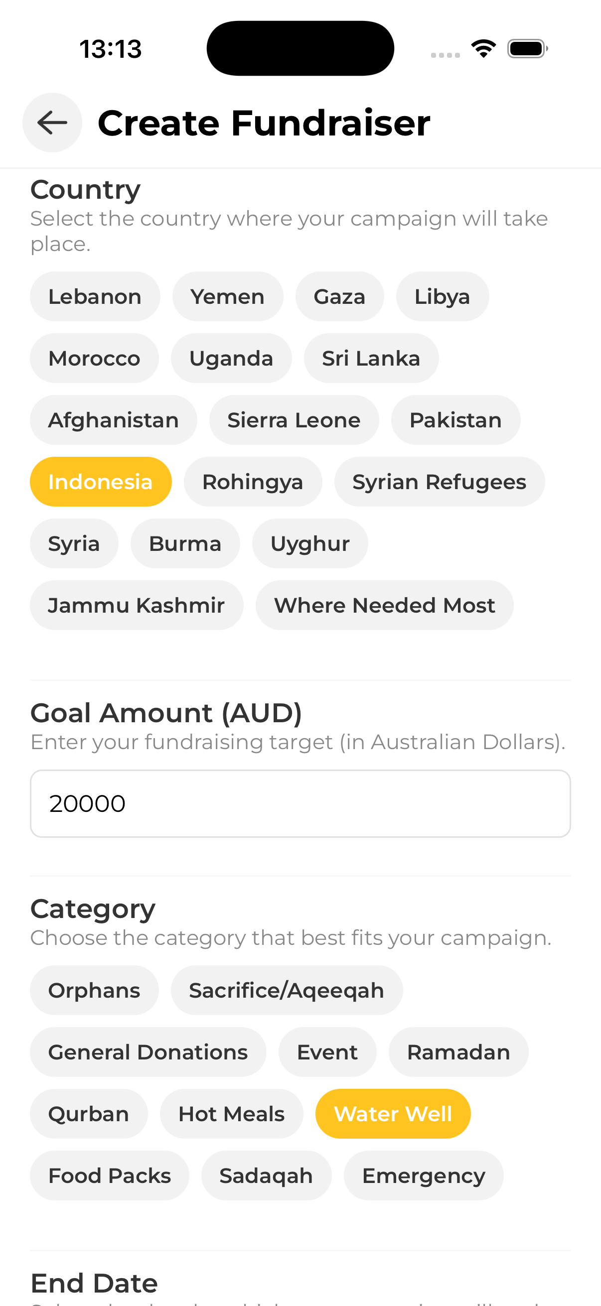 Create fundraiser form